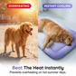 🔥Last Day Sale 60% OFF⏰🥳💞50K+ SOLD!⚡💖❄️Pet Cooling Mat for Dogs & Cats 🐾 Naturally Cool Ice-Silk Pad • Breathable, Washable & Soft 🐶🐱