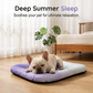 🔥Last Day Sale 60% OFF⏰🥳💞50K+ SOLD!⚡💖❄️Pet Cooling Mat for Dogs & Cats 🐾 Naturally Cool Ice-Silk Pad • Breathable, Washable & Soft 🐶🐱
