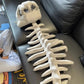 🦖Dinosaur Skeleton Plush Costume Wearable Soft Fossil Outfit for Kids & Adults🎁