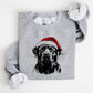 🏆2025 New Arrival💕Santa Paws Christmas Dog Sweatshirt🐶