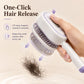 ⏳LAST DAY - 60% Off🔥Electric Spray Air Cushion Massage Comb💆‍♀️Self-Cleaning 🧼, Tangle-Free ✂️ & Frizz-Control Hair Brush with Soothing Mist Spray
