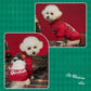 🎄🐕Christmas Dog Sweaters🎁