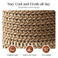 🔥Last Day Sale 60% OFF⏰👒🏖️Elegant Woven Straw Sun Hat with Bow🏝️