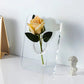 🔥New Design🔥Acrylic photo frame vase