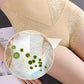 🔥50% OFF🔥🩲Women’s Butt-Lifting Tummy-Control High-Waist Panties❤️‍🔥