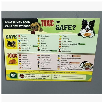 🔥Last Day Sale 60% OFF⏰🐱🐶Cat Food Safety Guide Magnet📕