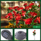 🌹🕯️Memorial Solar Rose Lights | Warm Glow to Honor Your Loved Ones💛