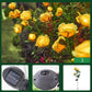 🌹🕯️Memorial Solar Rose Lights | Warm Glow to Honor Your Loved Ones💛