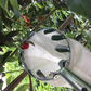 🍎 60% OFF NOW! 🧺 Fruit Picker Head Basket – Durable Design, Easy Attach & Perfect for Reaching High Branches Without a Ladder 🌳