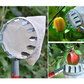 🍎 60% OFF NOW! 🧺 Fruit Picker Head Basket – Durable Design, Easy Attach & Perfect for Reaching High Branches Without a Ladder 🌳
