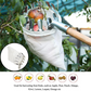 🍎 60% OFF NOW! 🧺 Fruit Picker Head Basket – Durable Design, Easy Attach & Perfect for Reaching High Branches Without a Ladder 🌳