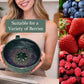 🍓 50% OFF NOW! 🔥 Berry Swirl Washing & Serving Bowl – Dual-purpose colander design, non-slip base & perfect for rinsing, draining & serving berries or snacks 🥣