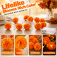 👻Happy Halloween 🎃🧡Artificial Marigold Flower LED String Light✨