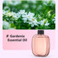 🥳💞100K+ SOLD✨🌸Automatic Aromatherapy Diffuser🎁